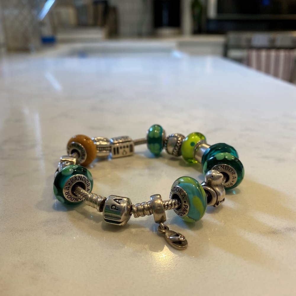 Pandora Charms / Bracelet